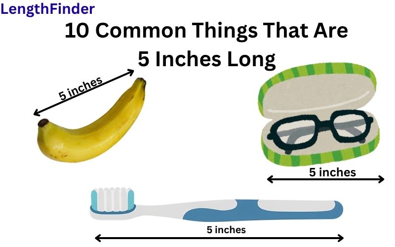 How long is 5 inches?