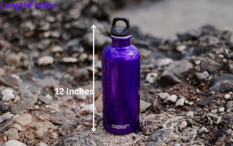How Long is 12 Inches?