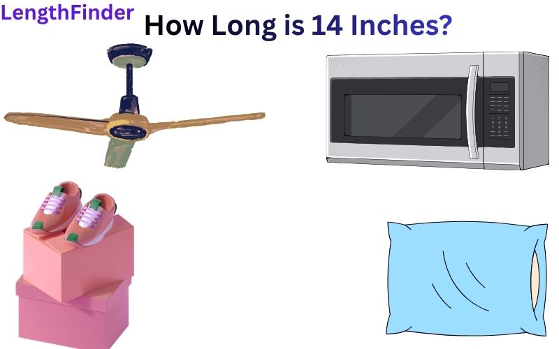 How Long is 14 Inches?