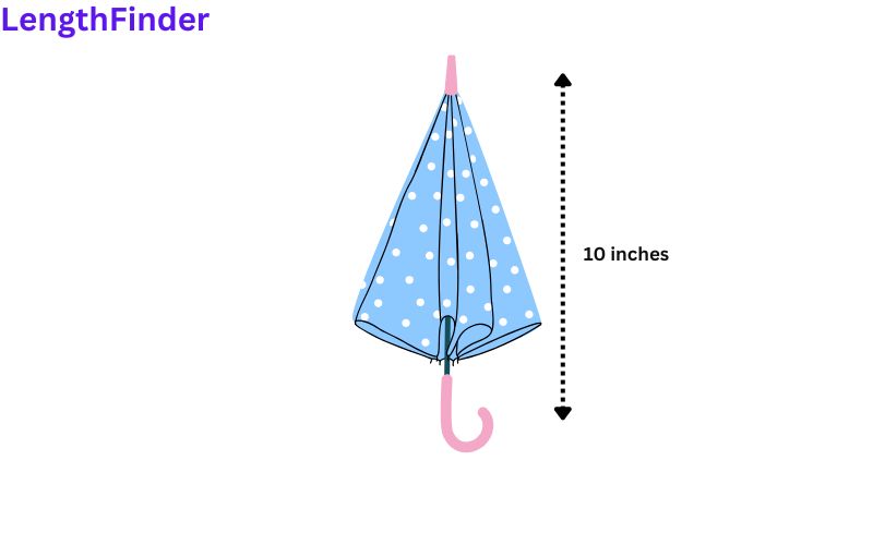 How Long is 10 Inches?