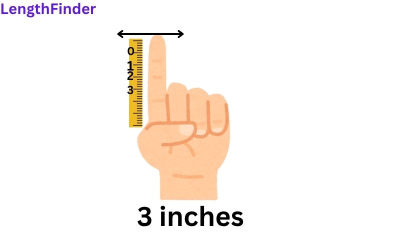 How long is 3 inches?