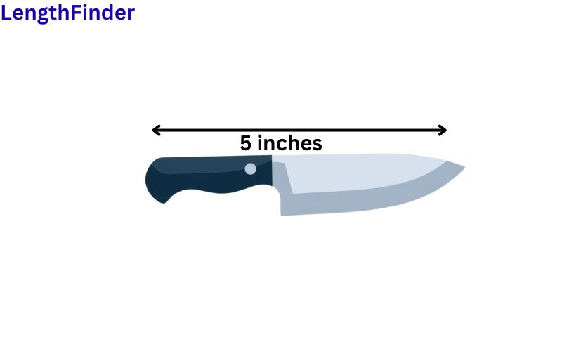 How long is 5 inches?