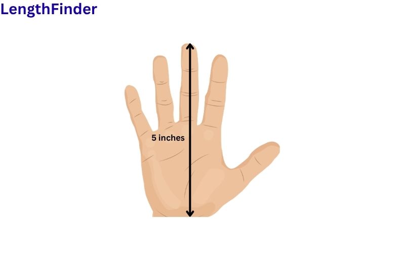 How long is 5 inches?
