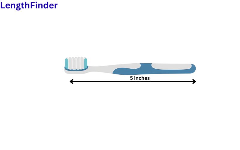 How long is 5 inches?