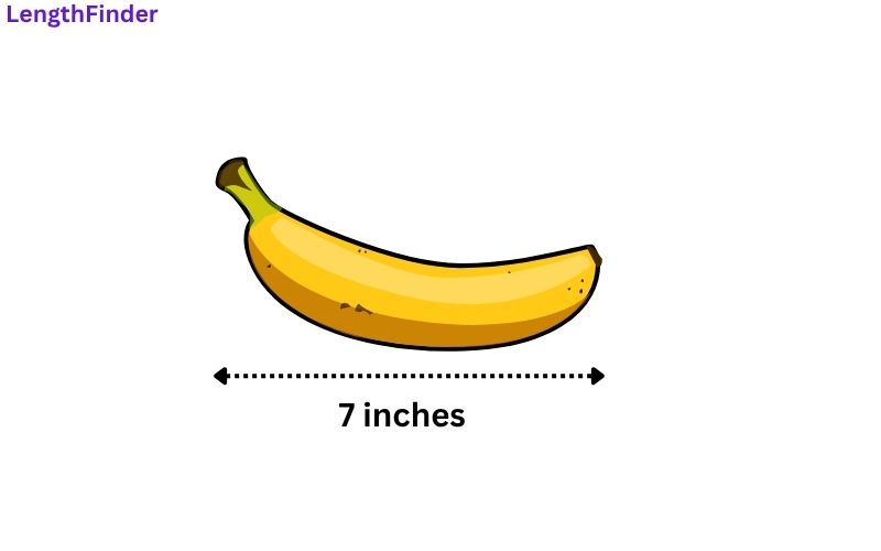 how long is 7 inches?