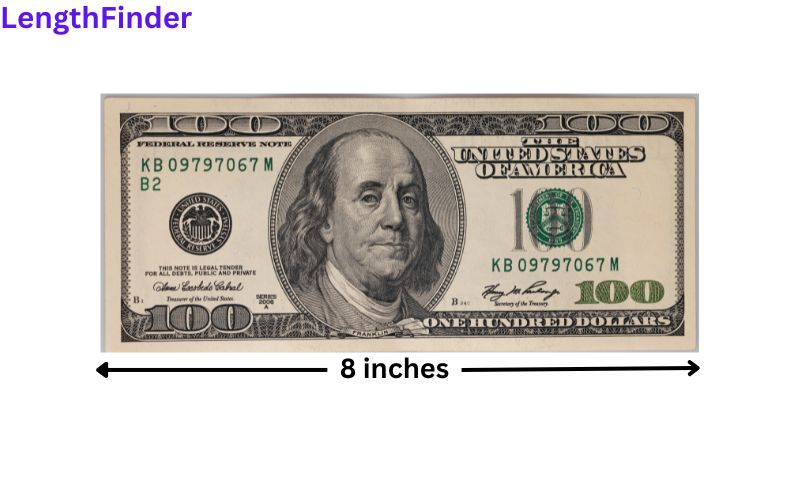 How long is 8 inches?