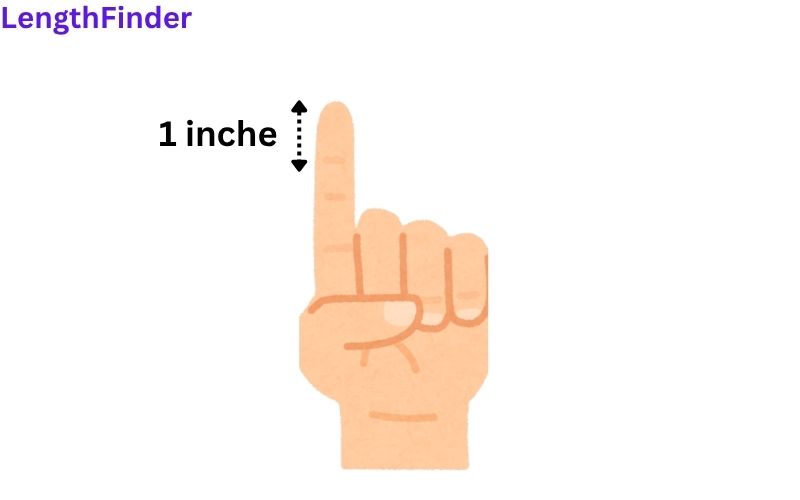 how long is 1 inches?