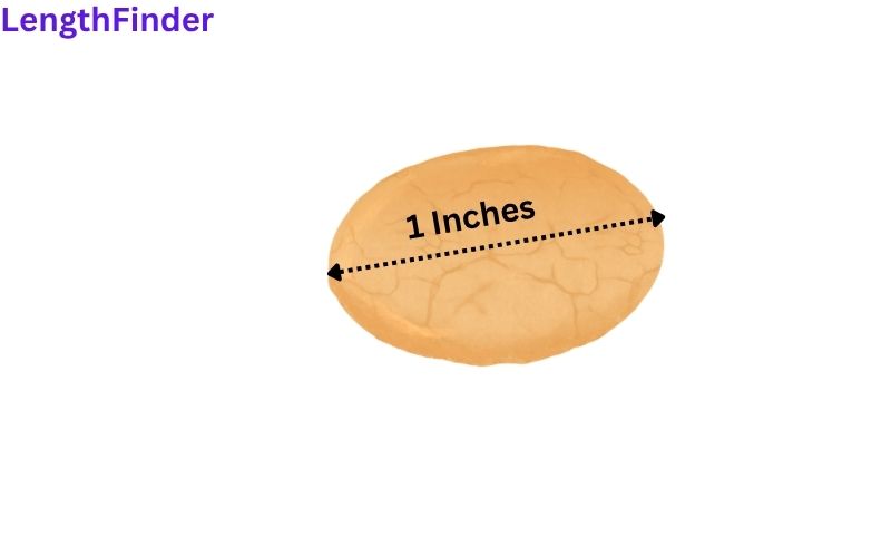 how long is 1 inches?