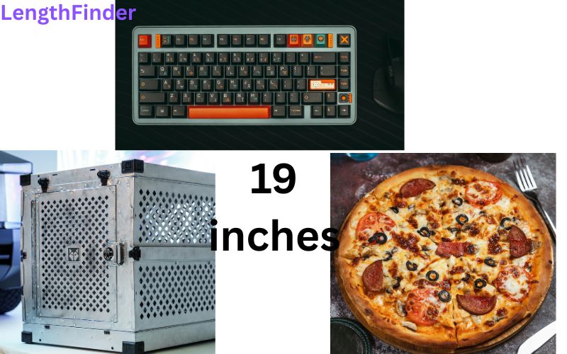 how long is 19 inches?