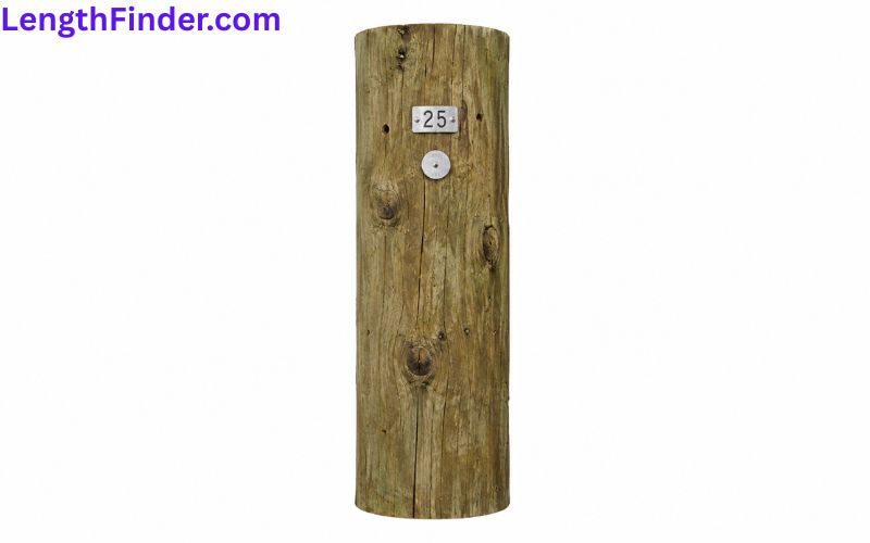 how long is 19 feet?