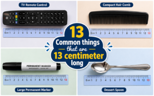 how long is 13 cm?