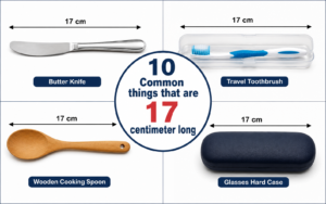 how long is 17 cm?