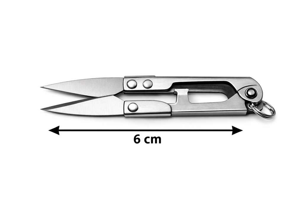 how long  is 6 cm?