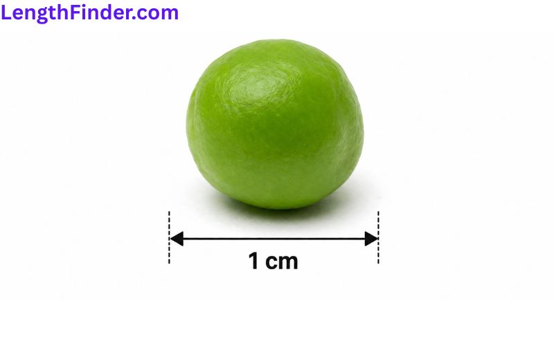 how long is 1 centimeter?