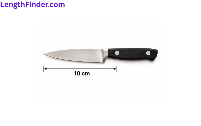 how long is 10 cm?