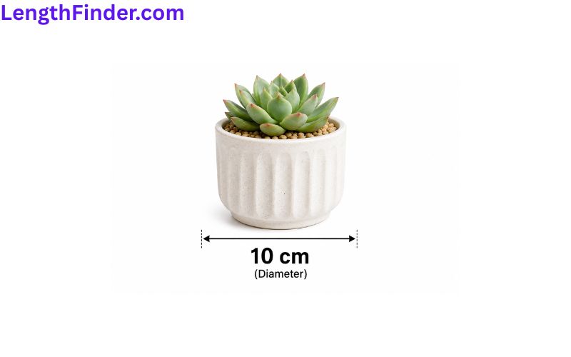 how long is 10 cm?