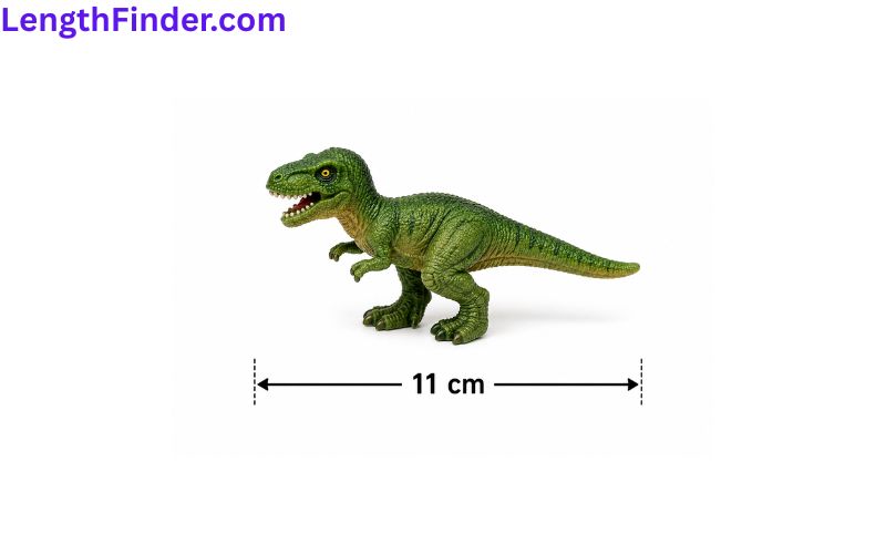 how long is 11 cm?