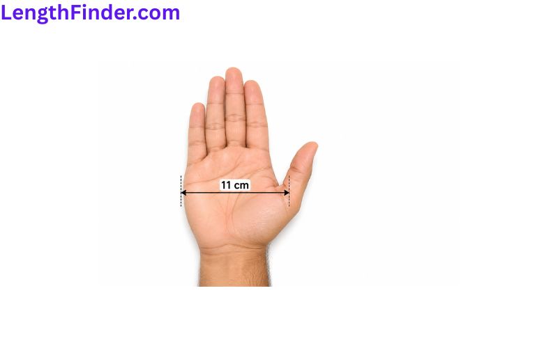 how long is 11 cm?