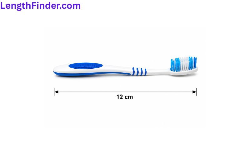 how long is 12 cm?