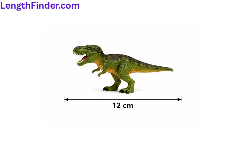 how long is 12 cm?