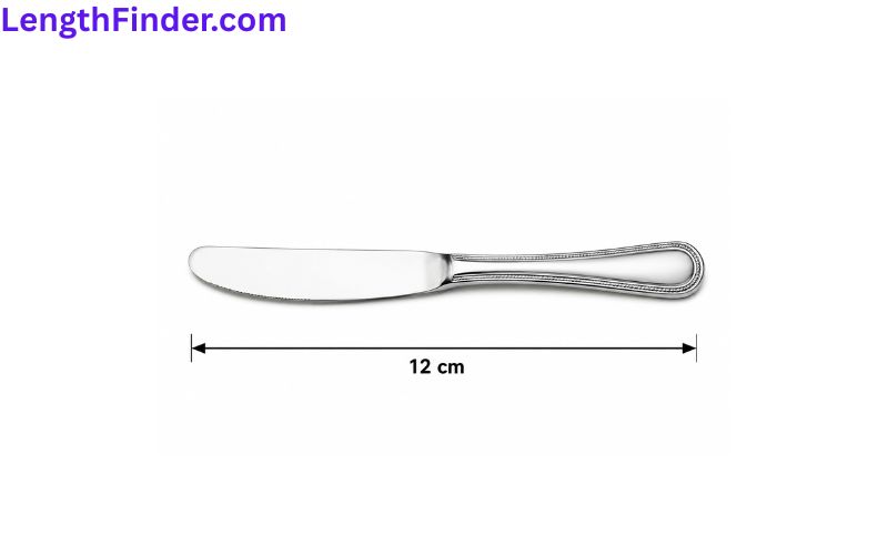 how long is 12 cm?