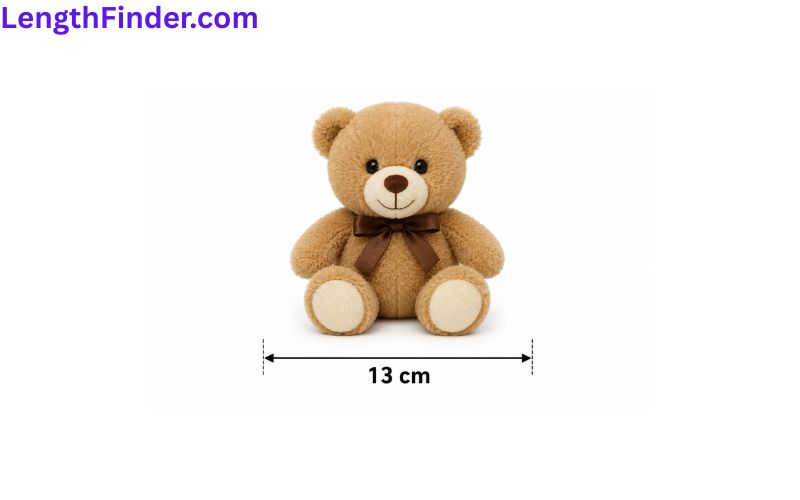 how long is 13 cm?