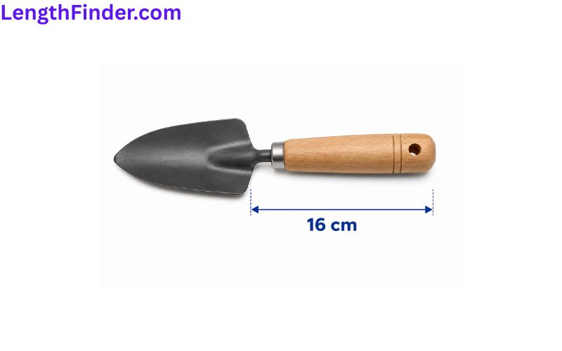 how long is 16 cm?