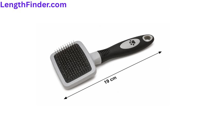 how long is 19 cm?