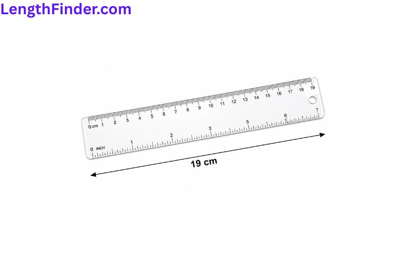 how long is 19 cm?