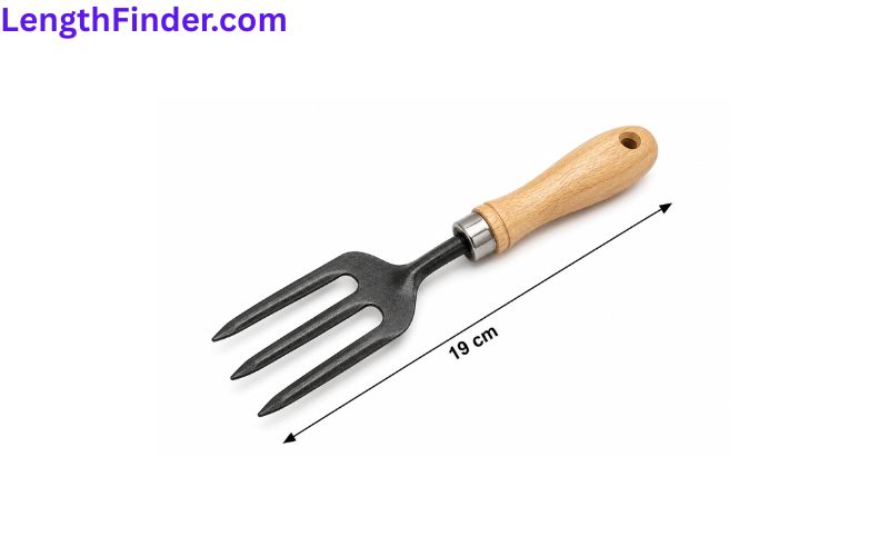 how long is 19 cm?