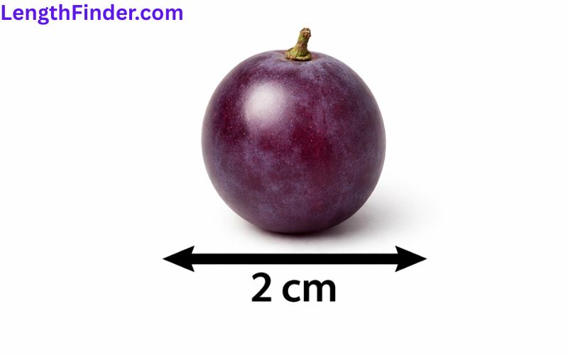 how long is 2 cm?