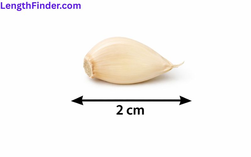 how long is 2cm?