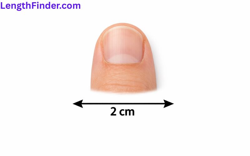 how long is 2 cm?