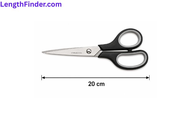 how long is 20 cm?
