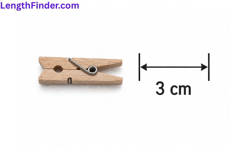 how long is 3 cm?