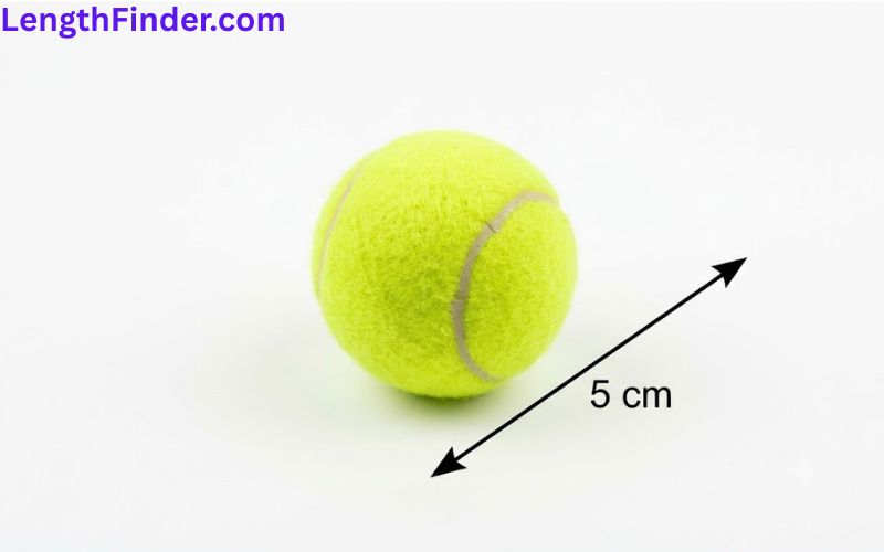 how long is 5 cm?