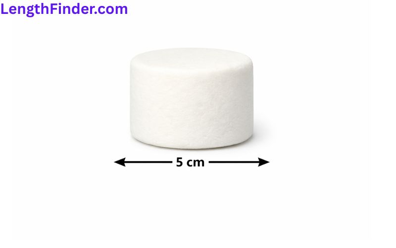 how long is 5 cm?