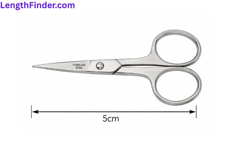 how long is 5 cm?