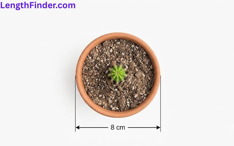 how long is 8 cm?