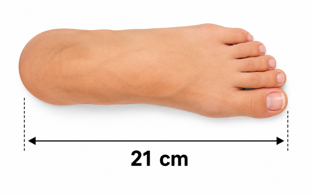 how long is 21 cm?