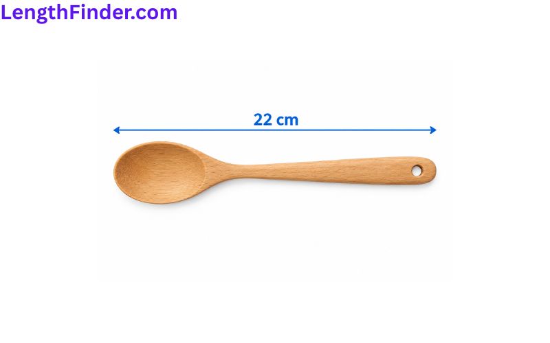 how long is 22 cm?