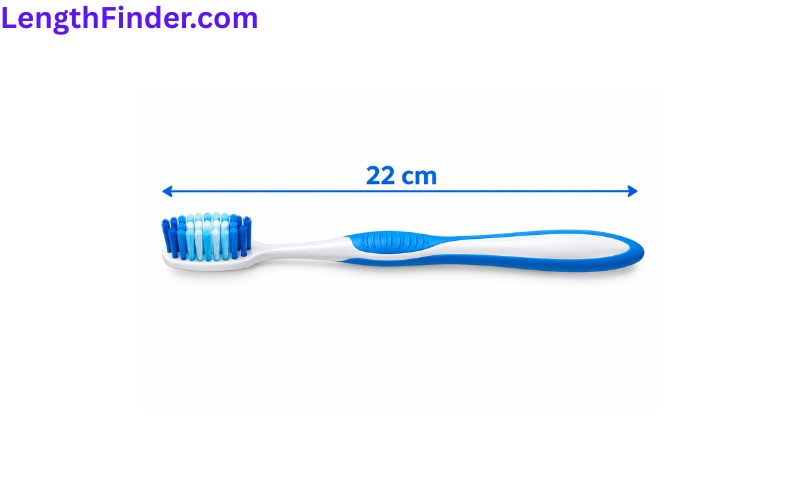 how long is 22 cm?
