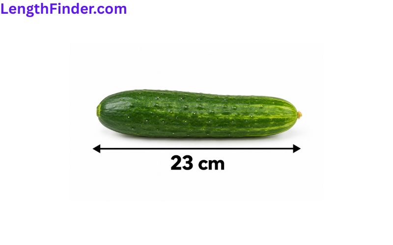 how long is 23 cm?
