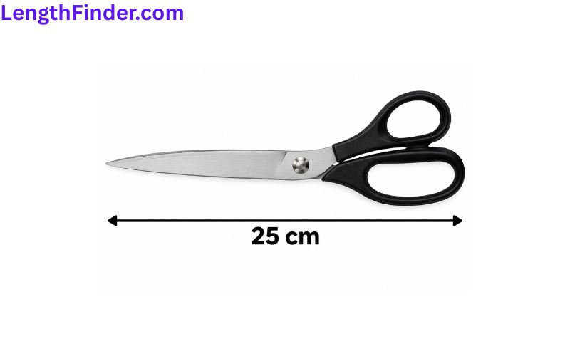 how long is 25 cm?