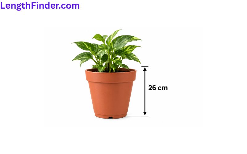 how long is 26 cm?